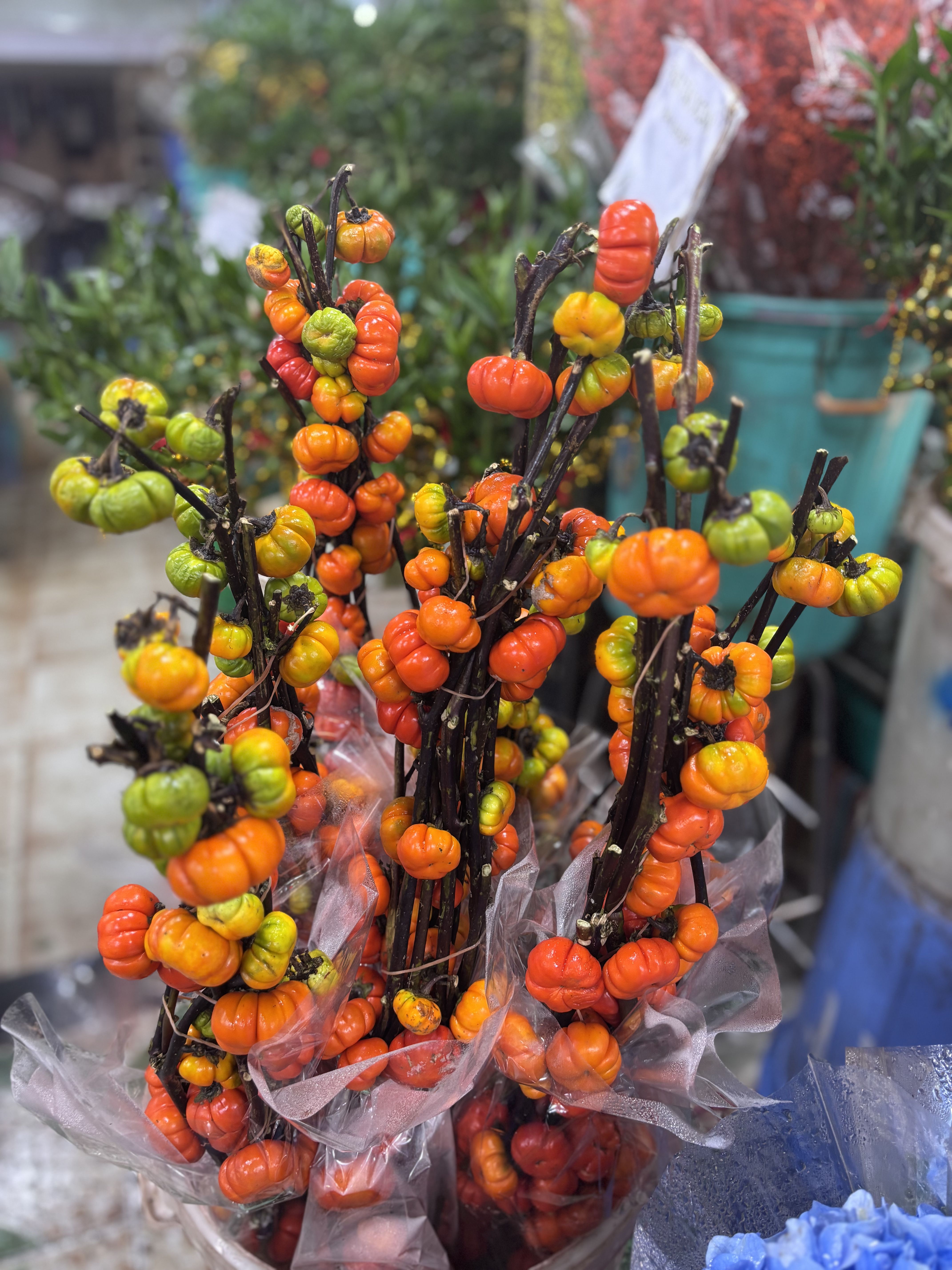 2025_10_18_16_02_IMG_0782