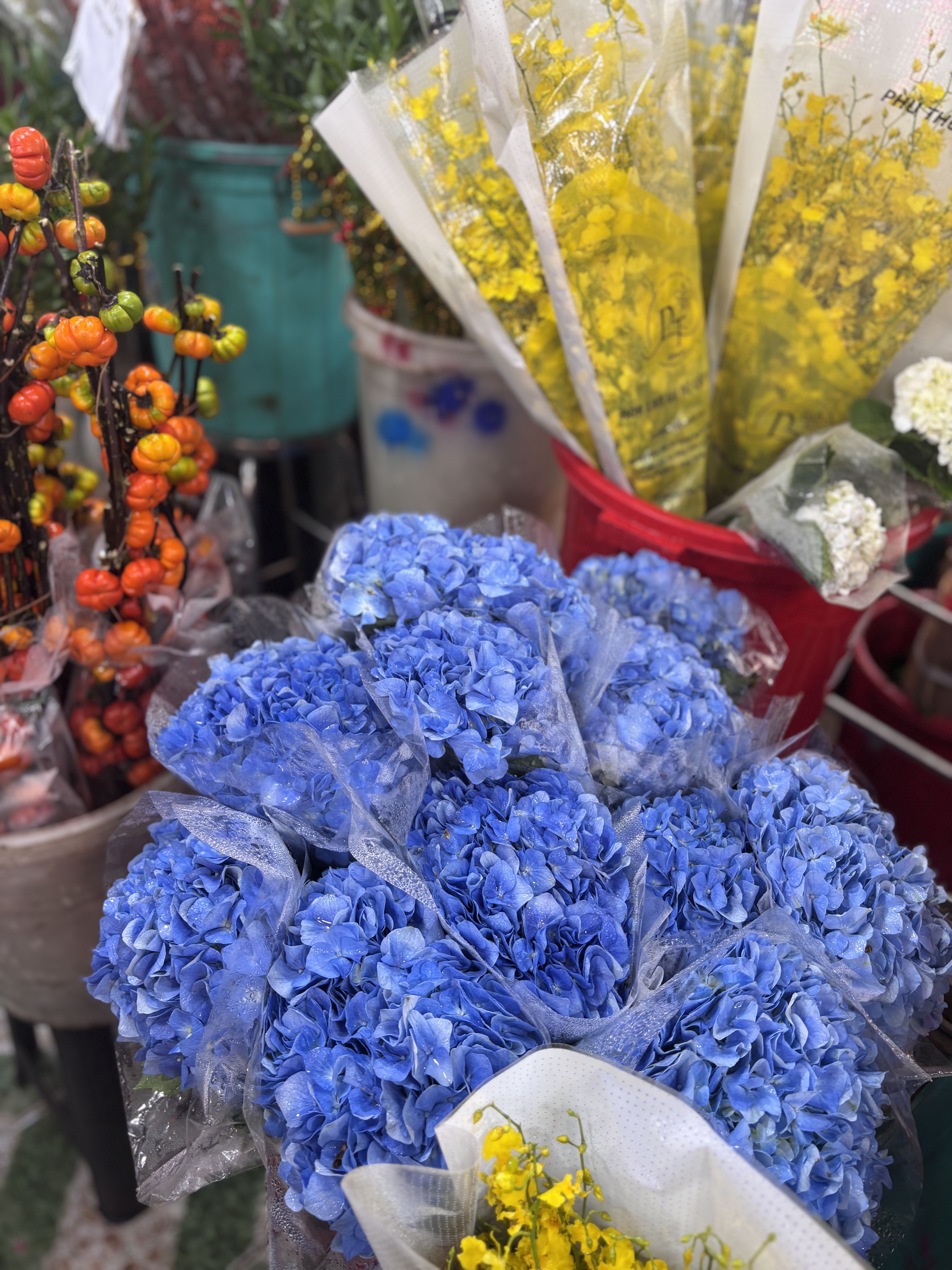 2025_10_18_16_02_IMG_0784