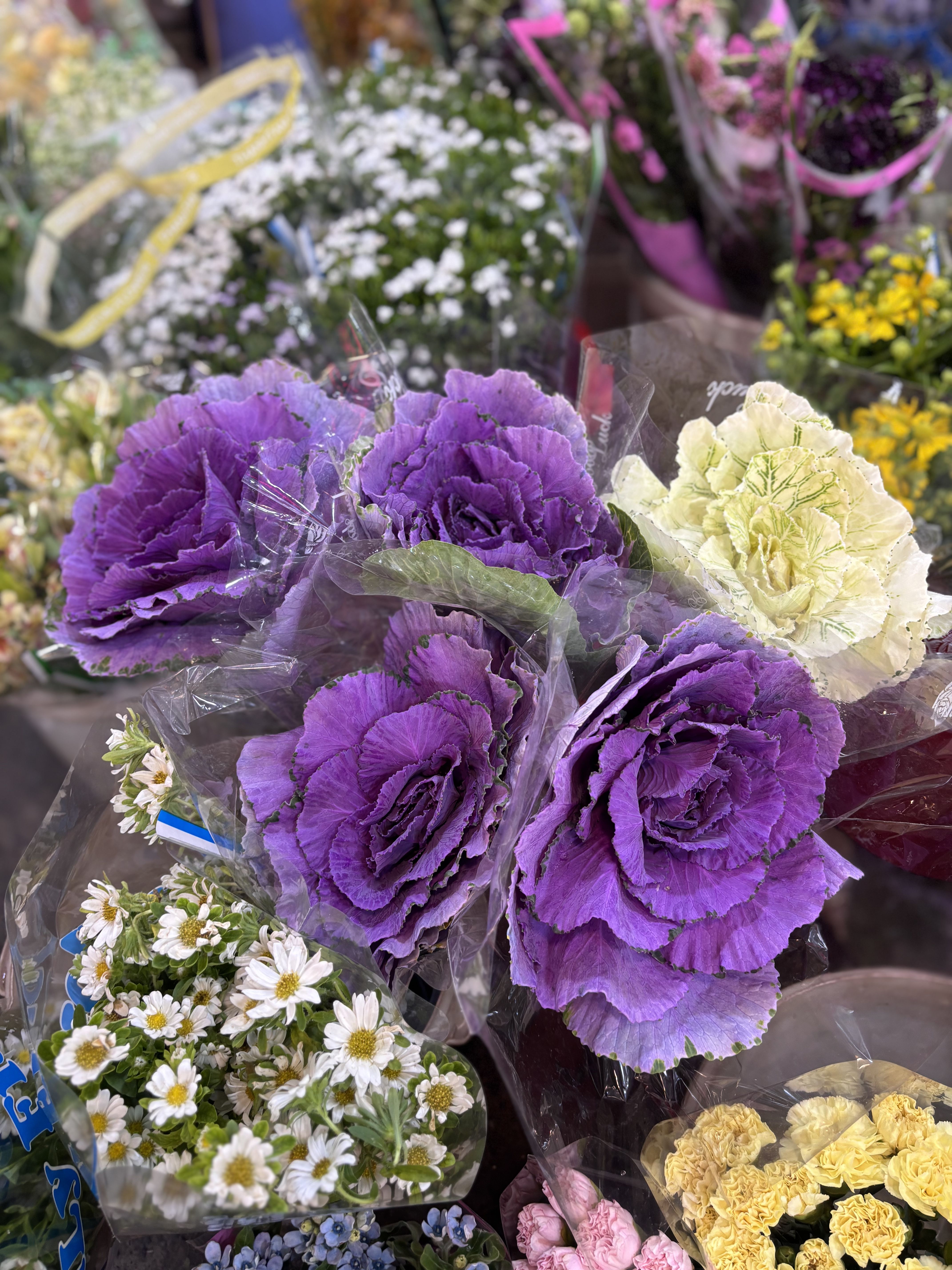 2025_10_18_16_02_IMG_0800