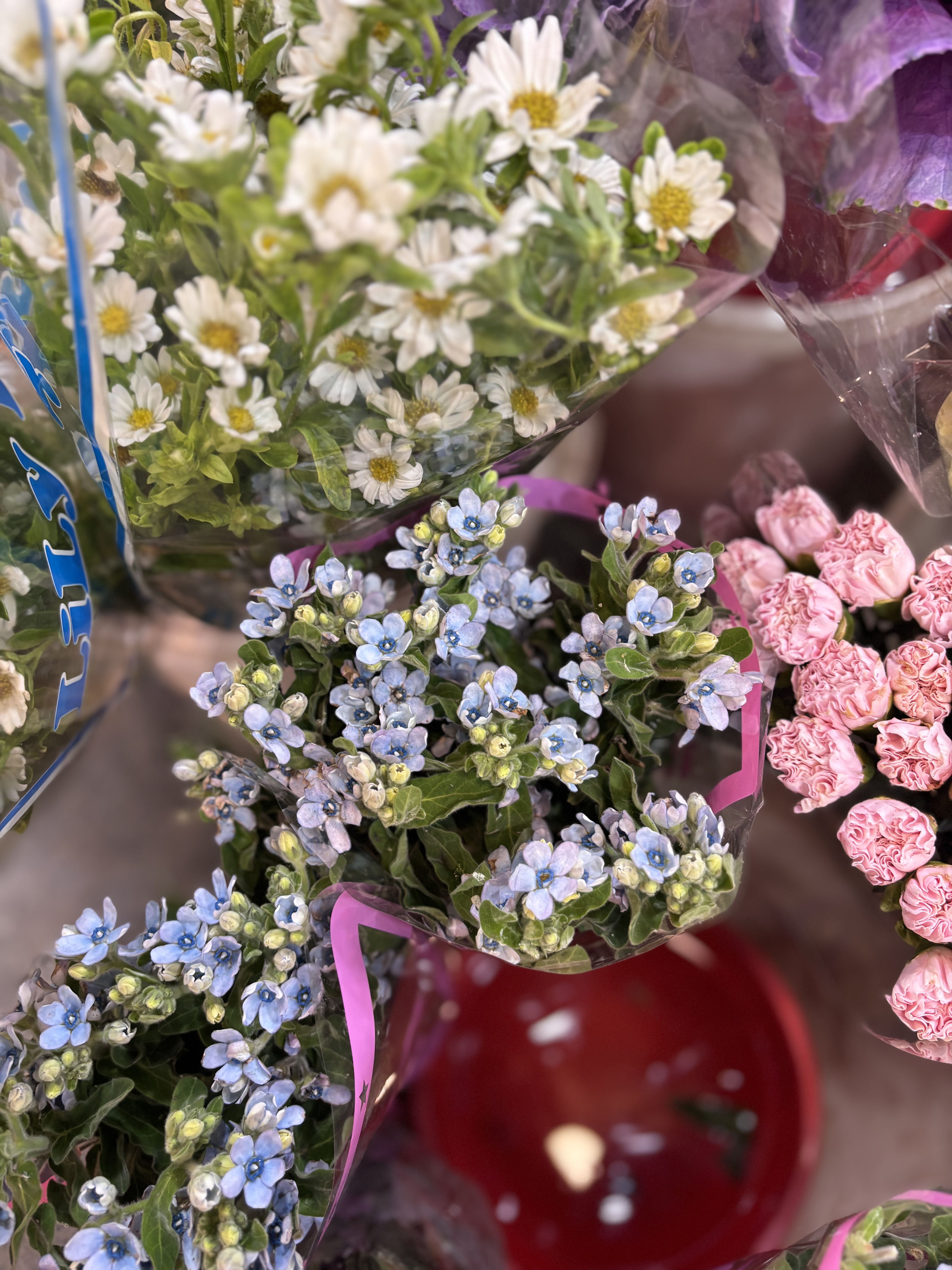 2025_10_18_16_02_IMG_0801