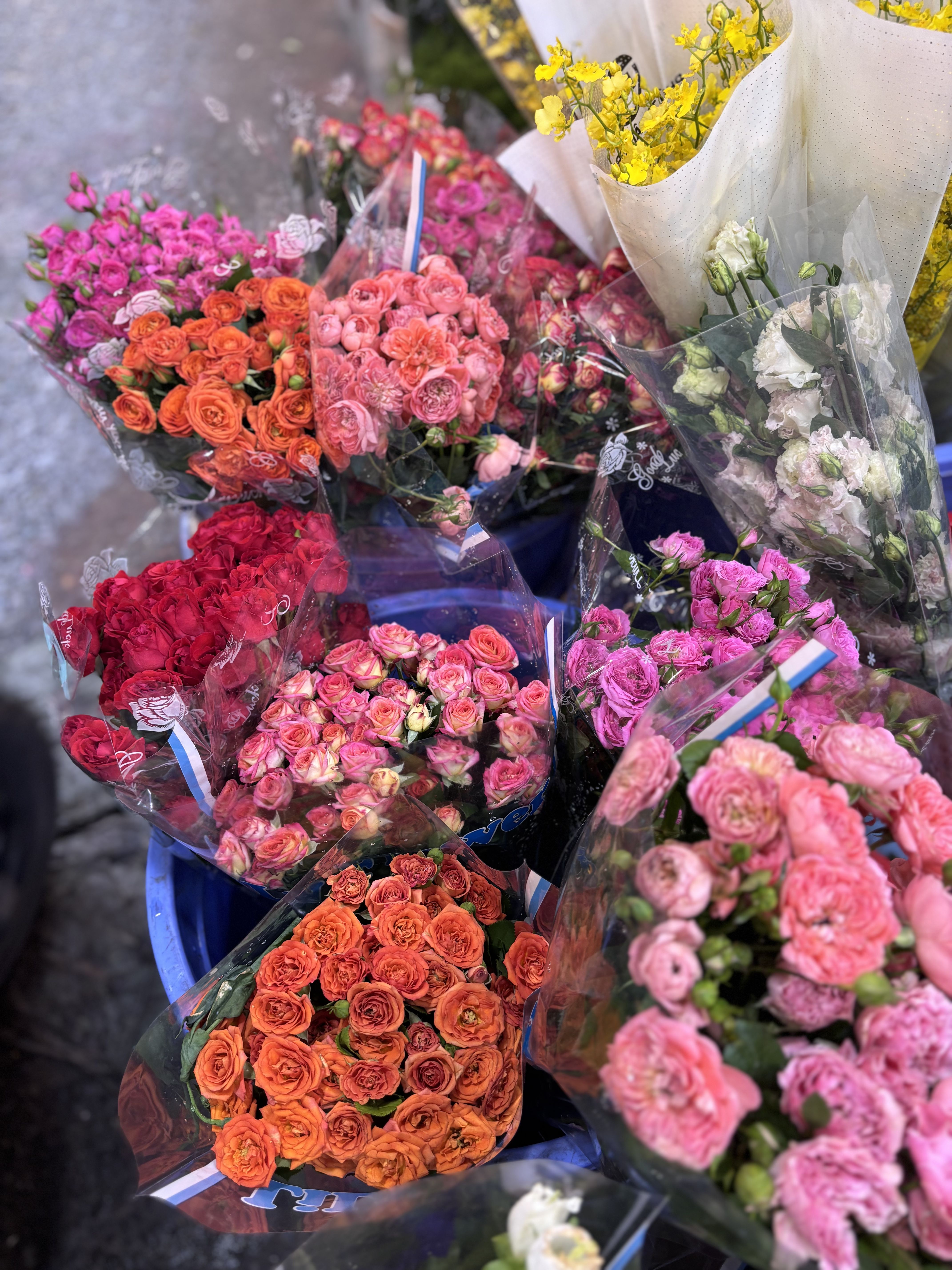 2025_10_18_16_03_IMG_0792