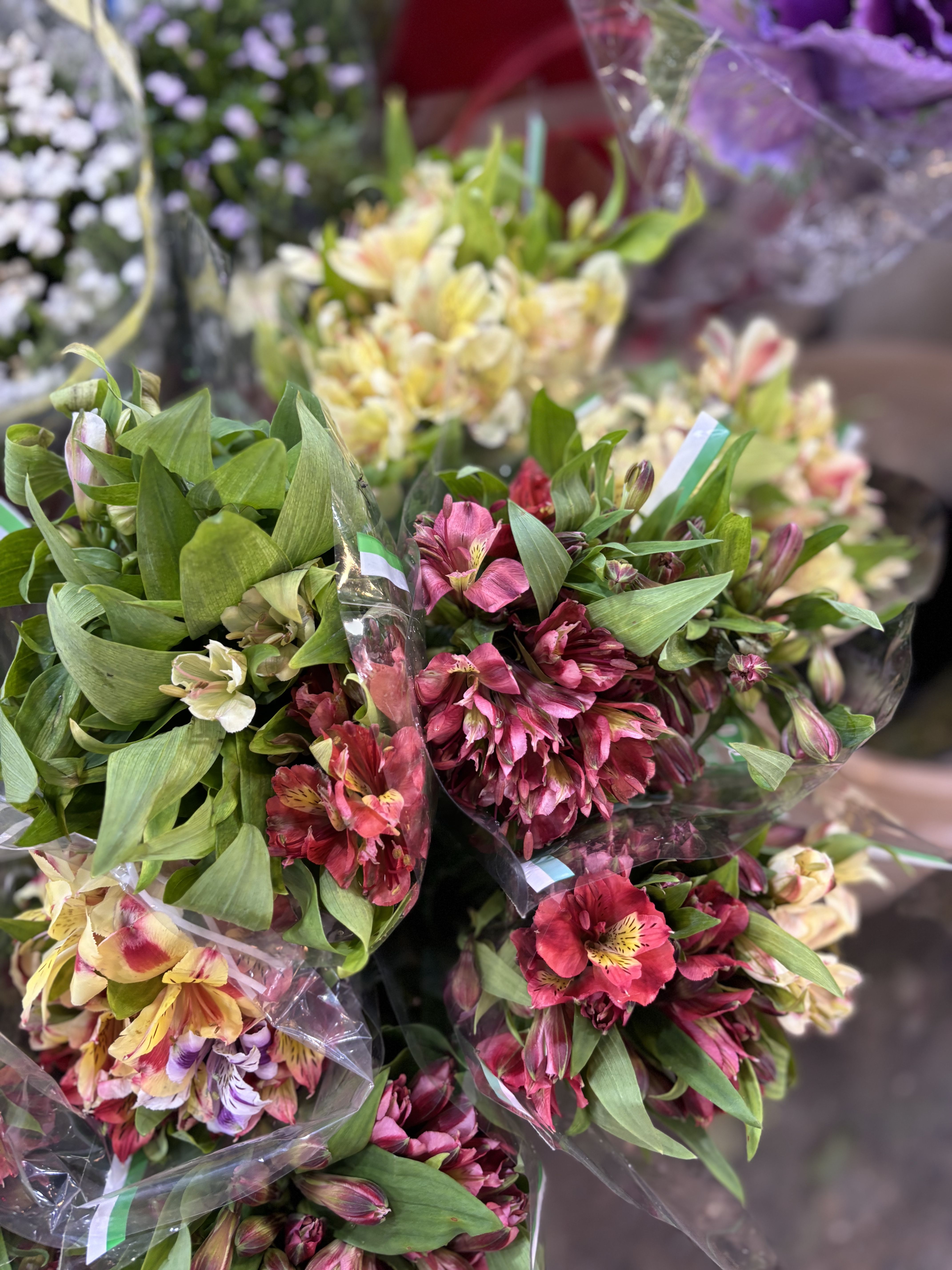 2025_10_18_16_08_IMG_0787