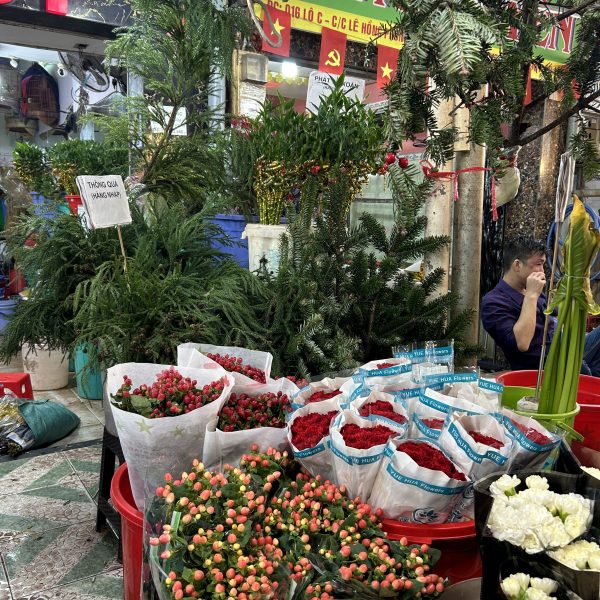 2025 11 19 17 59 img 0719